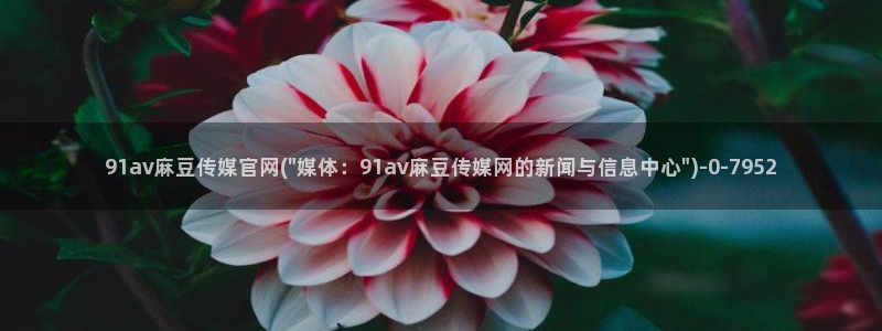 麻豆关键词库