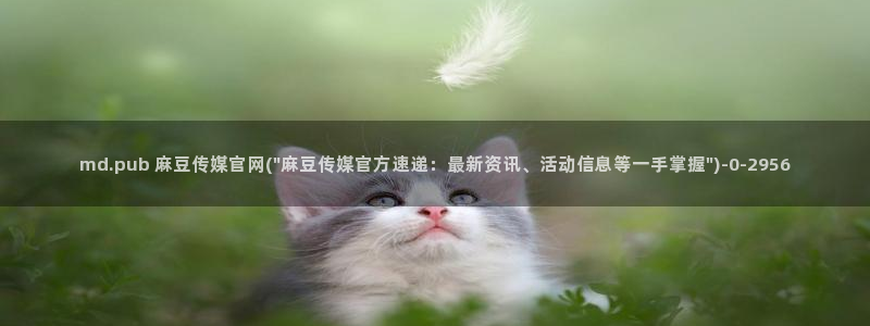 麻豆视频长尾词