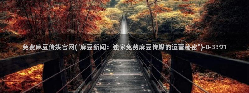 麻豆精品内容