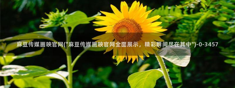 麻豆视频投稿交流