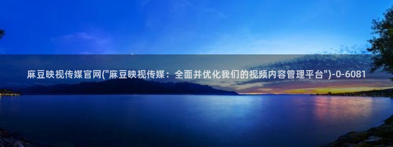 麻豆视频标签规划
