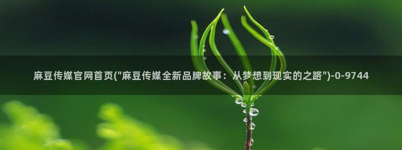 麻豆视频收藏