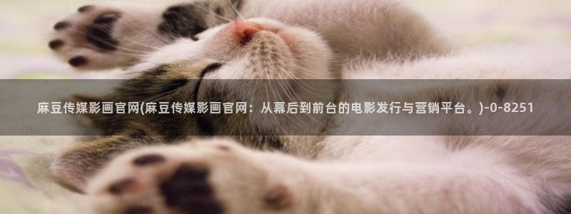 麻豆视频用户体验