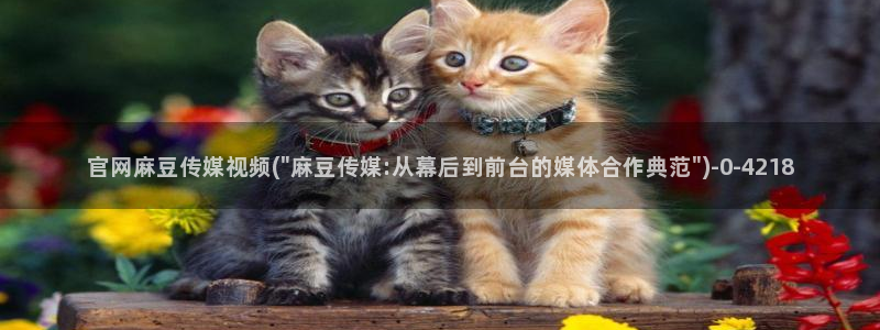 麻豆视频分类名称