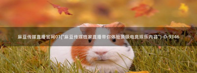 麻豆精选标题
