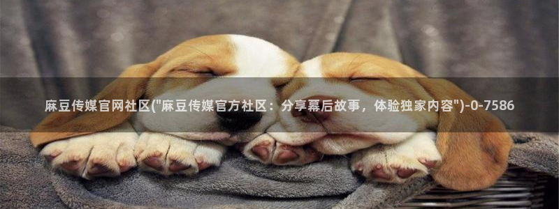 麻豆入门指南：麻豆传媒官网社区(\