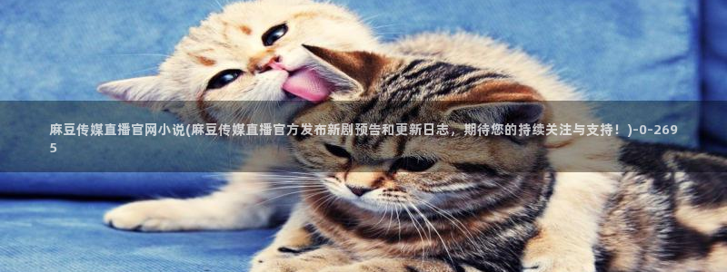 麻豆内容采集：麻豆传媒直播官网小说(麻豆传媒直播官方发布新剧预告和更新日