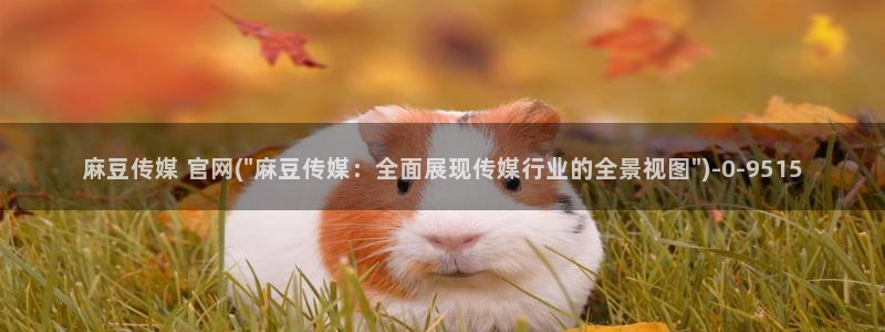 麻豆精选描述：麻豆传媒 官网(\