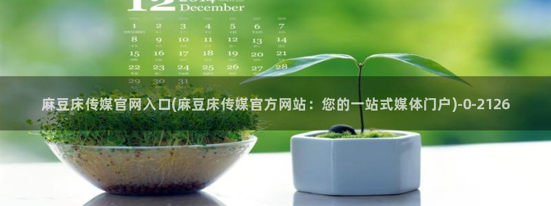 麻豆精选片单