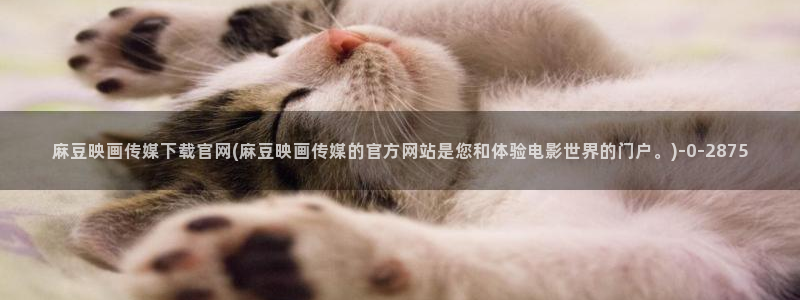 麻豆视频标签