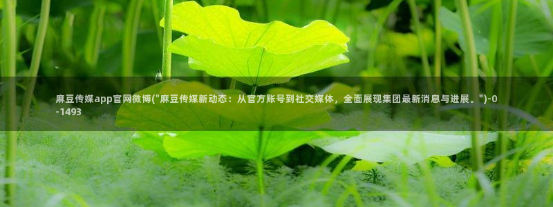 麻豆新片标题