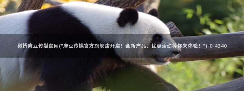 麻豆视频内容质量