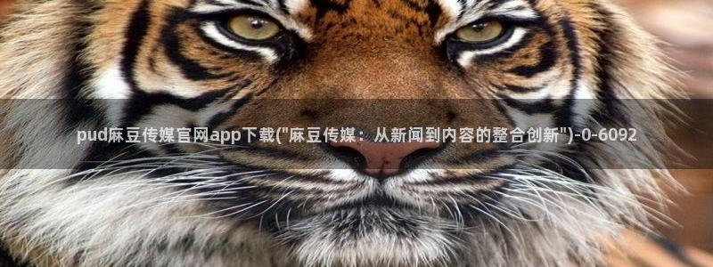 麻豆视频标题规则
