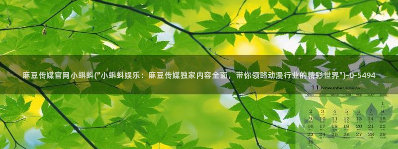 麻豆视频资源站文案