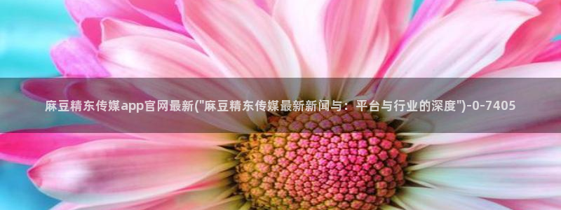 麻豆视频栏目文案