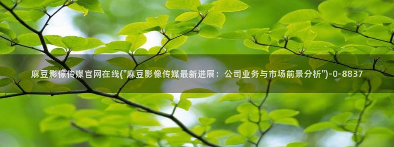 麻豆精选视频