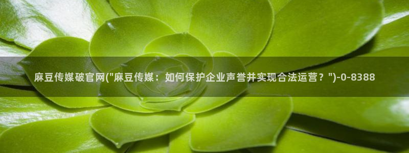 麻豆观看标题