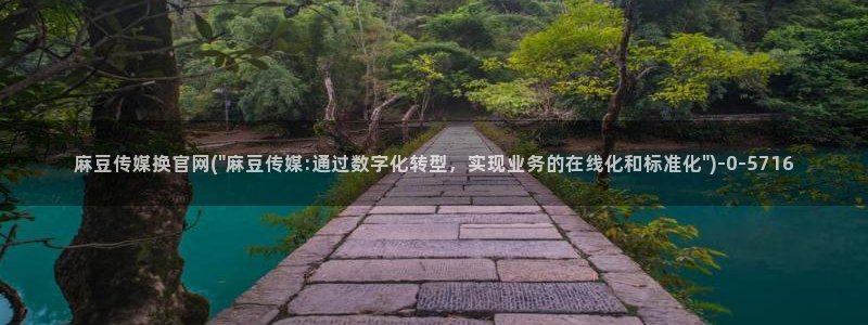 麻豆视频页面结构