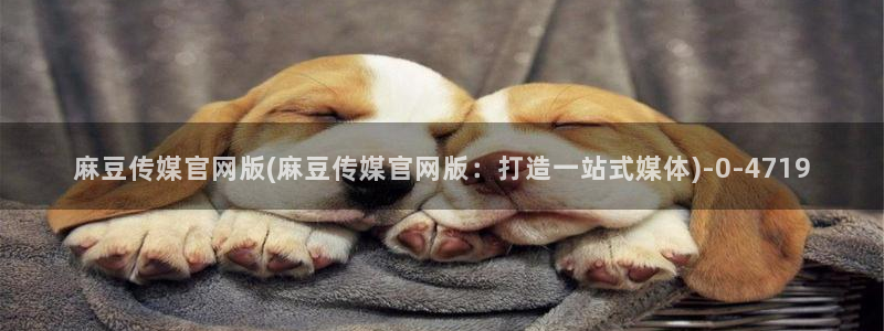 麻豆内容模板