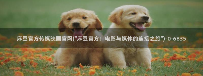 麻豆新片速递