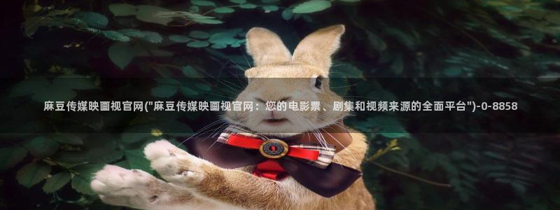 麻豆视频网