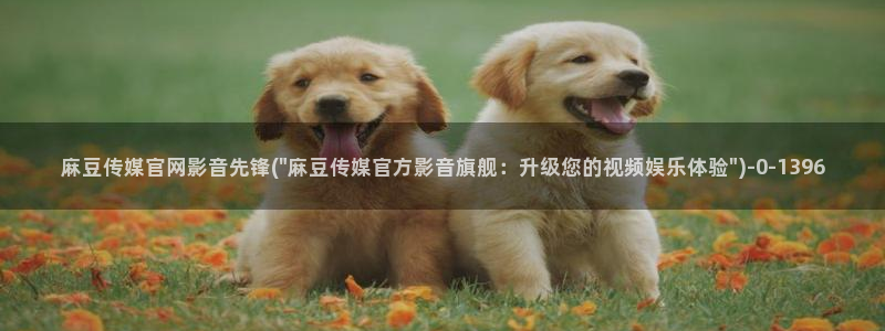 麻豆视频伪原创
